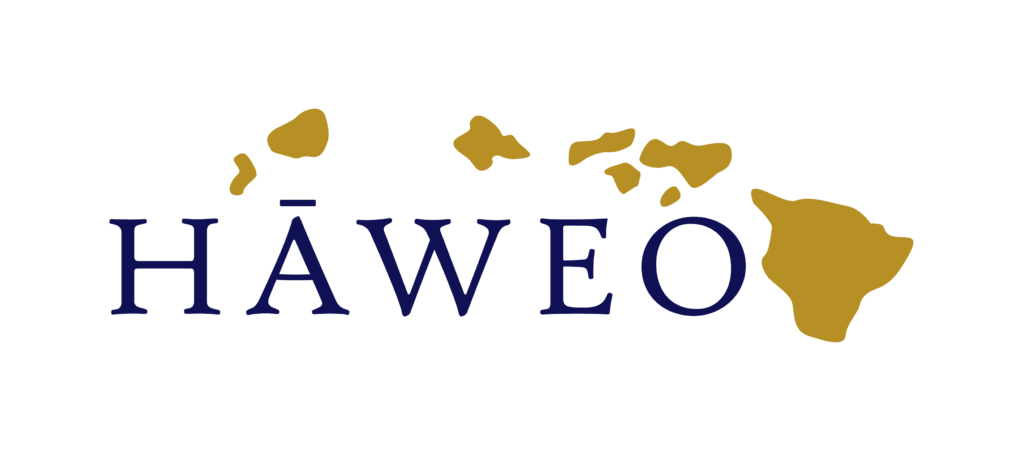 haweo color v1 logo rectangle large logo rectangle large